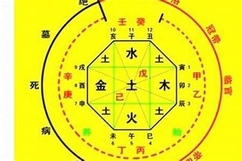 金木水火土測試|生辰八字算命、五行喜用神查詢（免費測算）